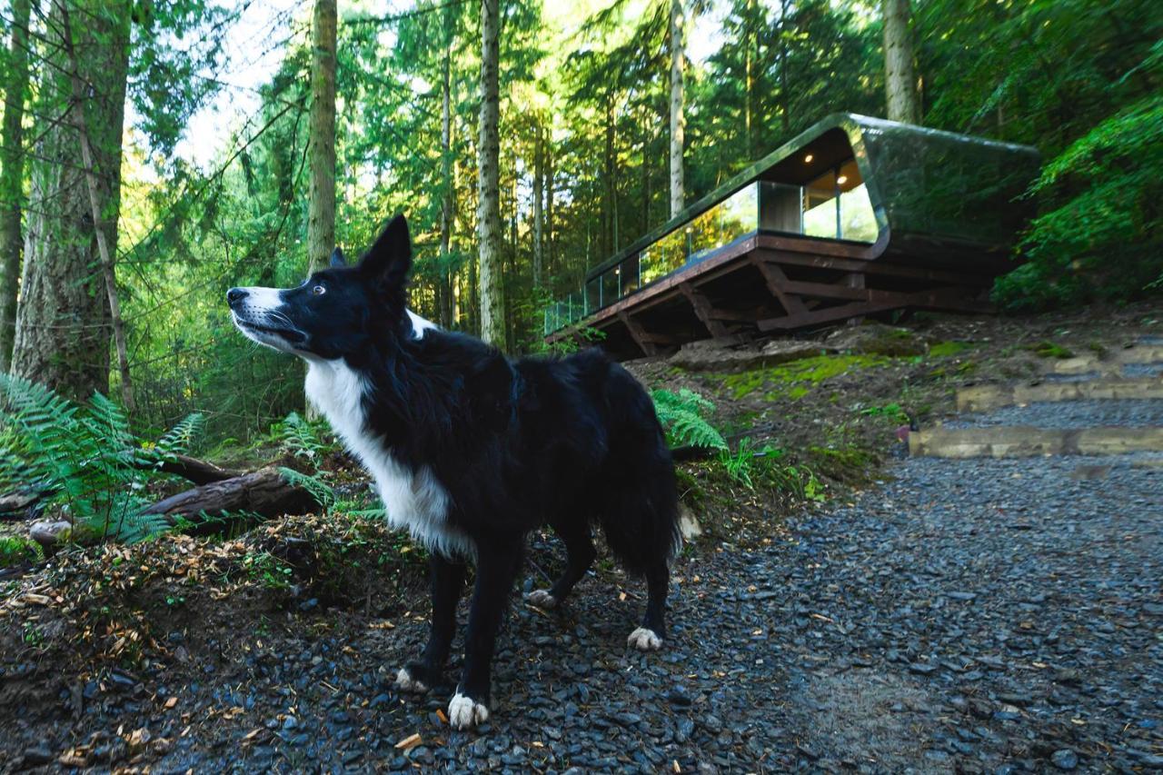 Forest Lodge
