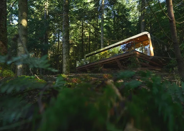 Forest Lodges