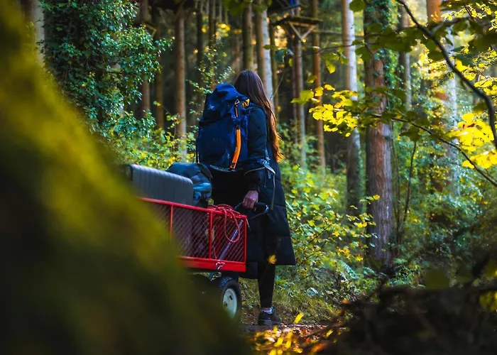 Forest Lodges