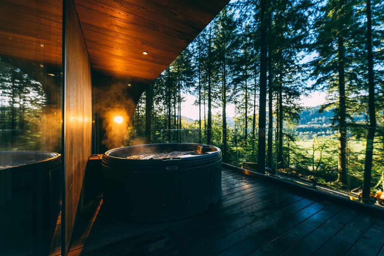 Forest Lodge Betws-y-Coed