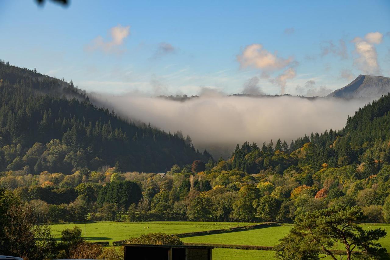 Forest Betws-y-Coed